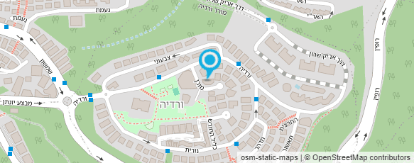 מפת הגעה אל שמואלי מיכל