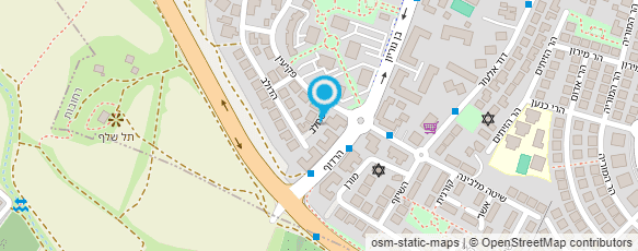 מפת הגעה אל לוינזון דוד