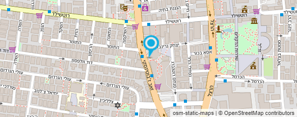 מפת הגעה אל שרה לוזון