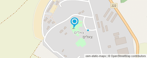 מפת הגעה אל צאלים