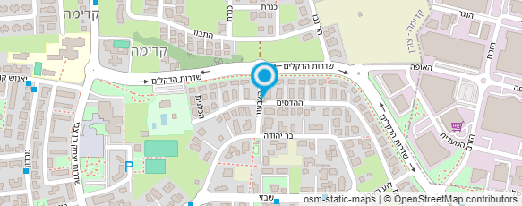 מפת הגעה אל גלריית נחשון