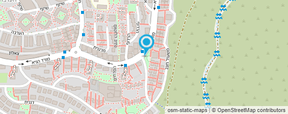 מפת הגעה אל פרופסור יריב אליעזר