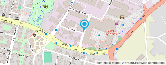 מפת הגעה אל אמנון שאול ובניו