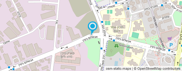 מפת הגעה אל מ.מ. שרותי דיזל בע"מ