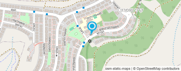 מפת הגעה אל שלומי שטיחים