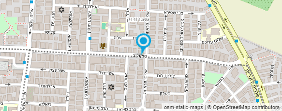 מפת הגעה אל סלון אולגה