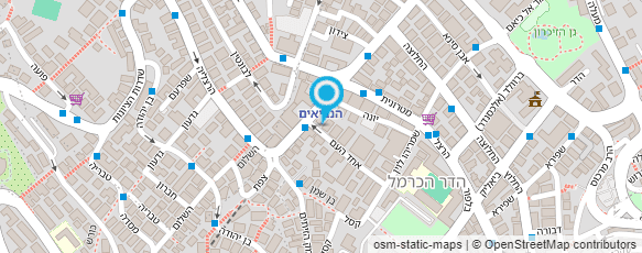 מפת הגעה אל העדה היהודית הספרדית חיפה