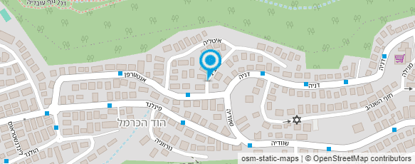 מפת הגעה אל ציפי רוזנטל ריהוט אירופאי