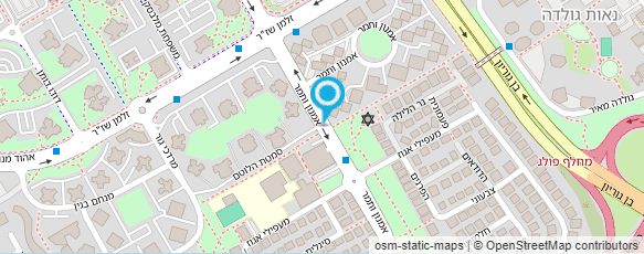 מפת הגעה אל עמיר טורץ