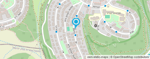 מפת הגעה אל פרידמן אודי