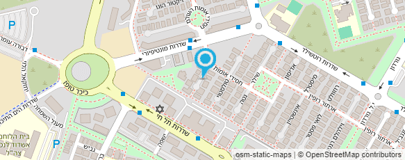 מפת הגעה אל שוקי יועצים בע"מ