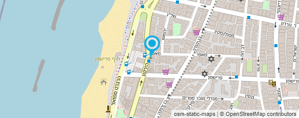 מפת הגעה אל גלריה פרנק מייסלר