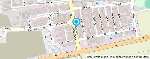 מפת הגעה אל שוק פרחים הולנדי