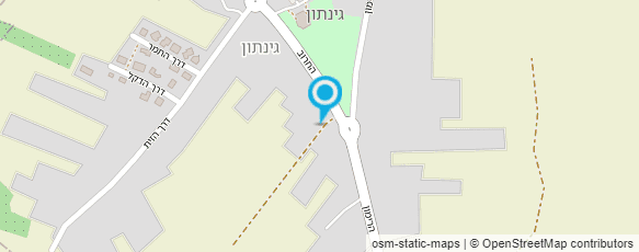 מפת הגעה אל פסיפס - לבנון