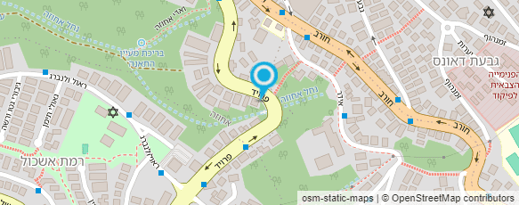 מפת הגעה אל אדלר רוני