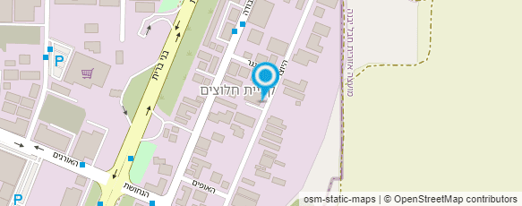 מפת הגעה אל סלמה - אומנות לבתי כנסת