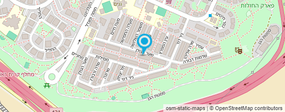 מפת הגעה אל פליישון דוד