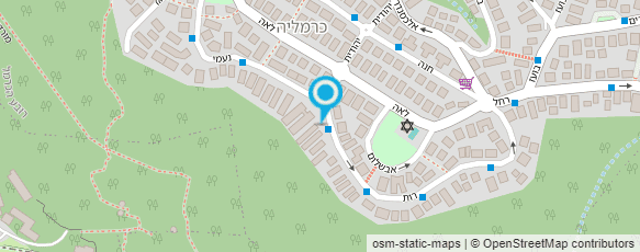 מפת הגעה אל ריטר מיכל פלדנקרייז