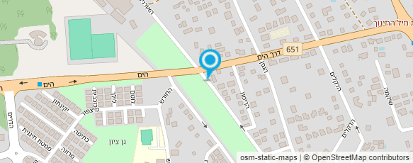 מפת הגעה אל אומן המתכת - רוני פרטוש