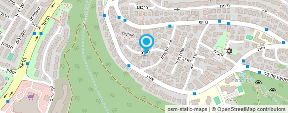 מפת הגעה אל מוזאיק