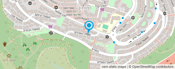 מפת הגעה אל סאווי ירושלים