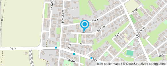 מפת הגעה אל נסטל ענת- ציור על עץ