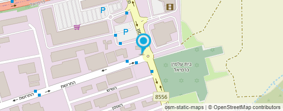 מפת הגעה אל מוסך סגול בע"מ