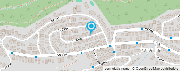 מפת הגעה אל פפארצ'י מרכז הצילום