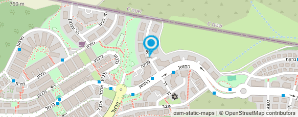 מפת הגעה אל קמנצקי דוד