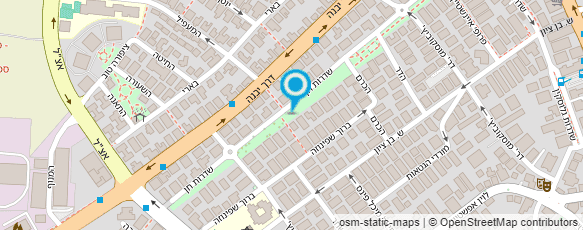 מפת הגעה אל זיידמן ענת- פולנית אנגלית