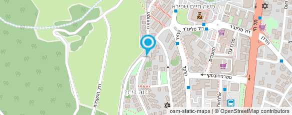 מפת הגעה אל ביטון פנחס