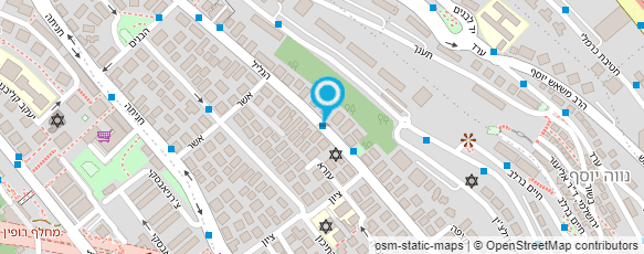 מפת הגעה אל ד"ר ספקטור אירינה מפת הגעה אל ד"ר ספקטור אירינה