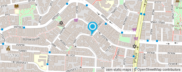 מפת הגעה אל אומנות הציור+תיק עבודות