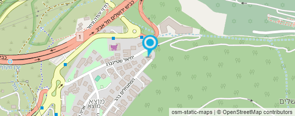 מפת הגעה אל הולצמן רות