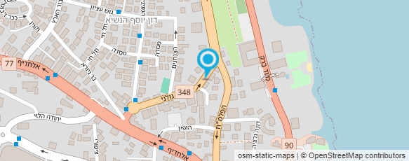 מפת הגעה אל תכשיטי דודיק