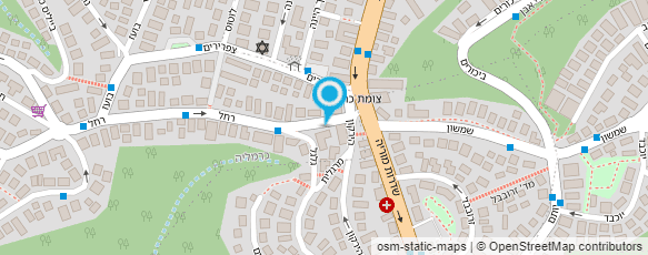 מפת הגעה אל אלון צמחוני