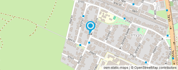 מפת הגעה אל בן יהודה שרון