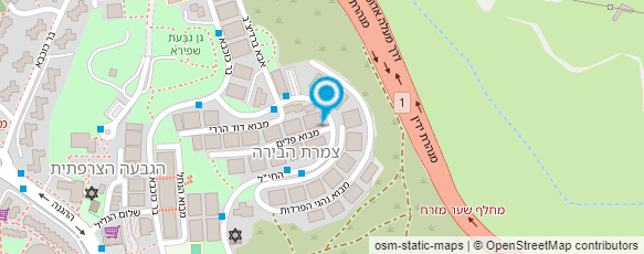 מפת הגעה אל צרנובלסקי לאוניד