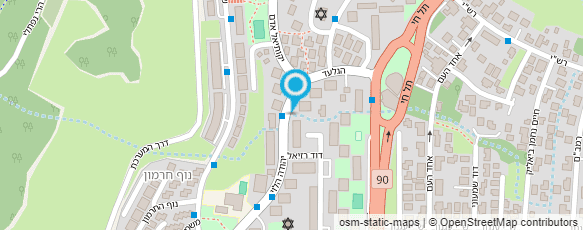 מפת הגעה אל דקל שיפוצים