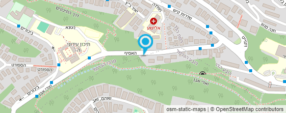 מפת הגעה אל מכון ברנסקי