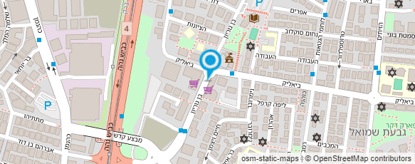 מפת הגעה אל בינה מערכות תוכנה ופתרונות בע"מ