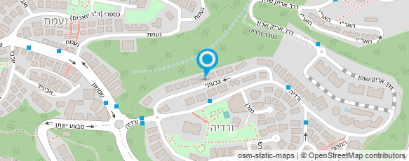 מפת הגעה אל שירי מערכות מידע