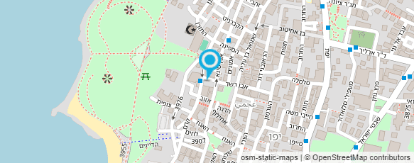 מפת הגעה אל דישון איריס