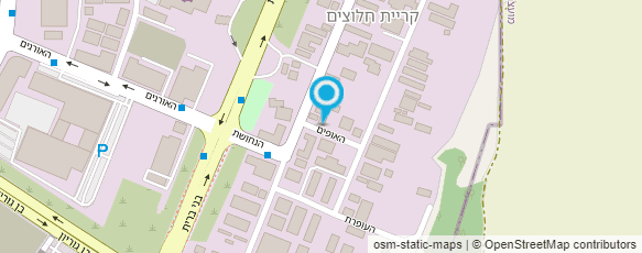 מפת הגעה אל "צמיגי התחנה"