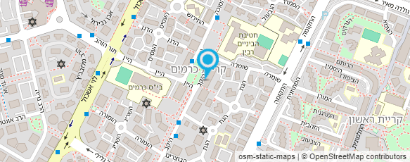 מפת הגעה אל פיצה ירושלים  כרמים