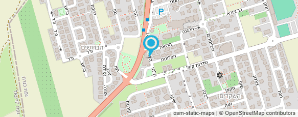 מפת הגעה אל שי-און גלריה - שולה ליאני