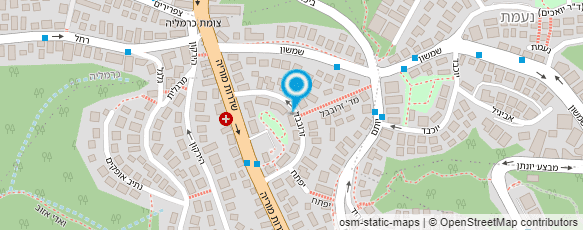 מפת הגעה אל פרופ' יואכימס צבי הנרי מפת הגעה אל פרופ' יואכימס צבי הנרי