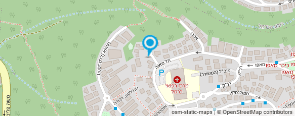 מפת הגעה אל קליין ליליאן