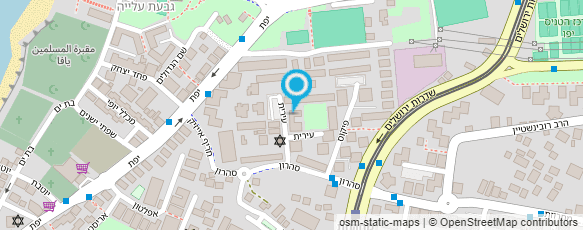 מפת הגעה אל בית כנסת רש"י