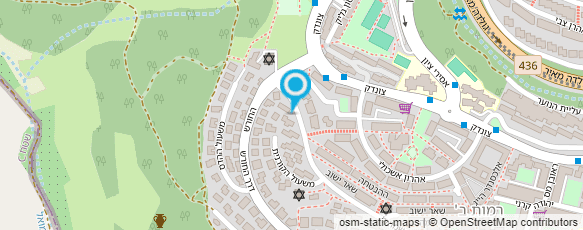 מפת הגעה אל מכון דינה מזל להוראת אנגלית